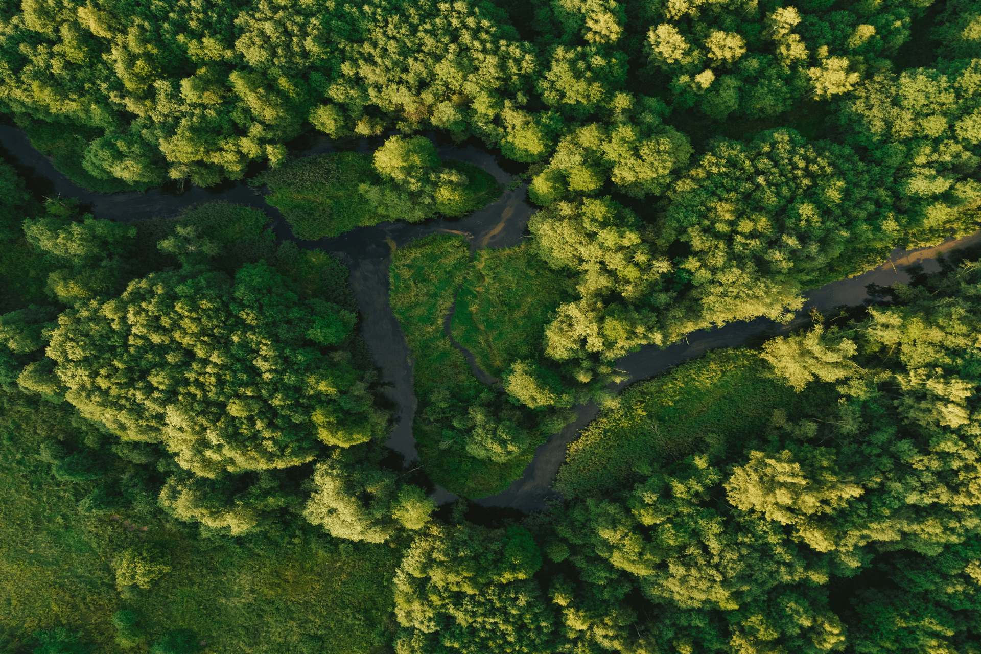 Broadcasters Use Testlio to Assure the Big Game Live Stream