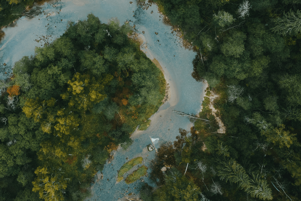 Unmoderated usability testing