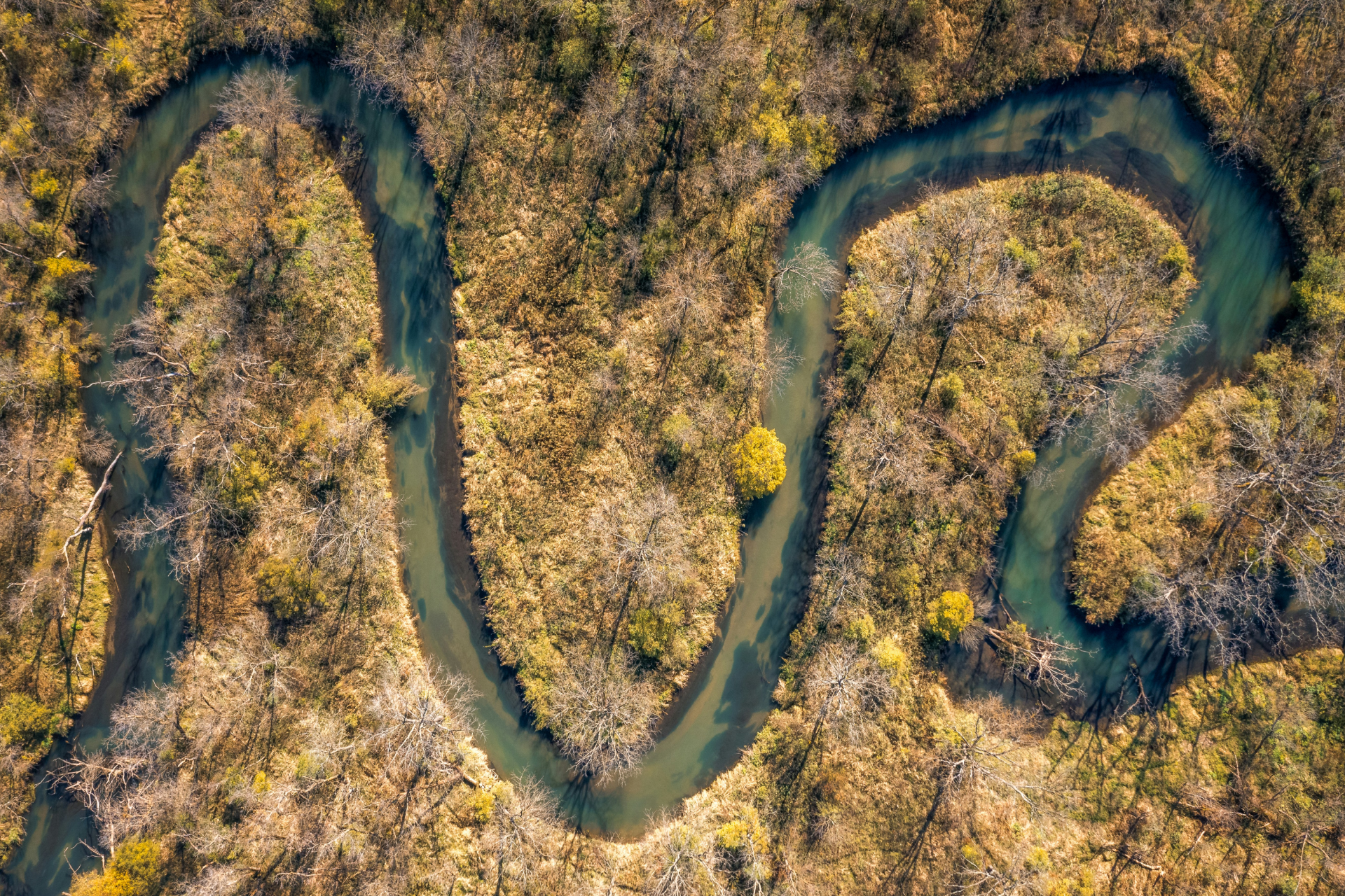 Digital Banking Blog Header shows a curved river in a autumn setting